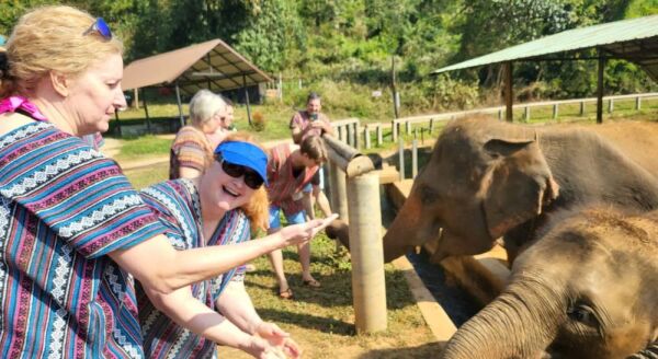 Day 8: Chiang Mai Elephant (B/L) - Group Tour