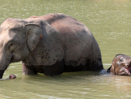 Classic Luang Prabang in 4 Days