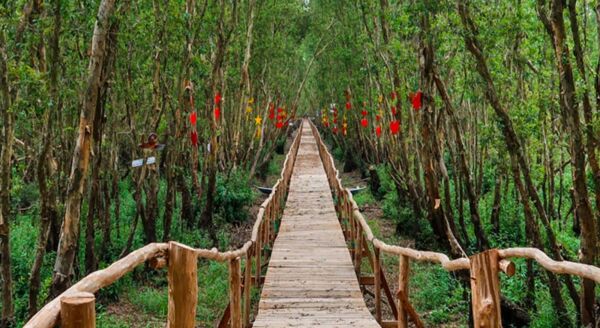 Day 6: Chau Doc – Tra Su Bird Sanctuary – Can Tho (B) - chau-doc-tra-su-bird-sanctuary-can-tho-b-HV15hNeq.jpg