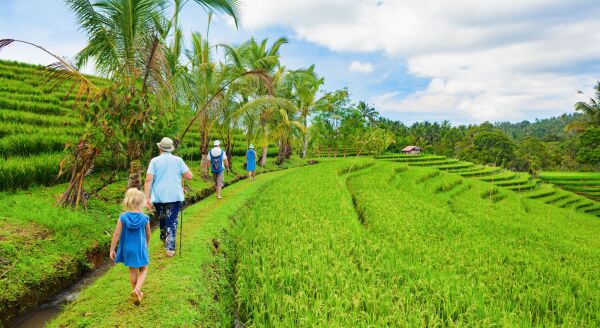 Day 4: Rice fields Soft Trekking (B)