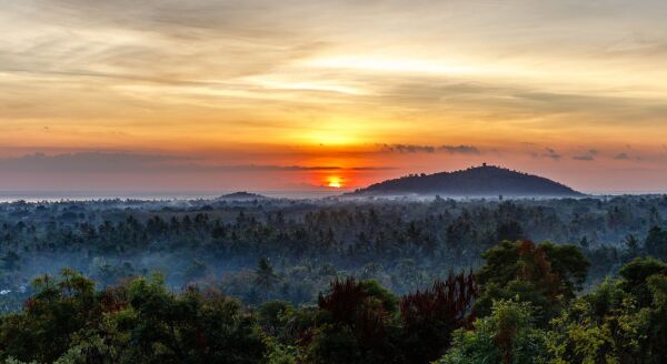 Day 5: Belimbing – Pemuteran (B)