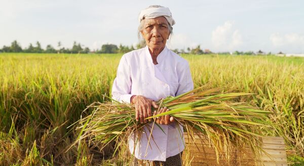 Day 6: VILLAGE EXCURSION AND BALINESE ACTIVITIES (B/L)