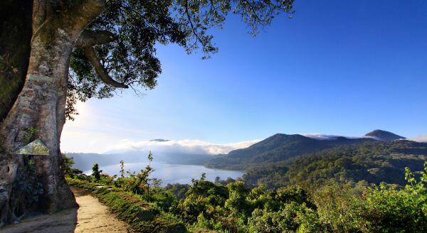 Day 6: Lovina – Munduk (B)