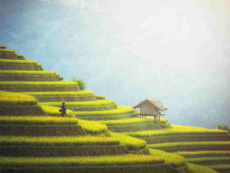 Vietnam Signature In 13 Days