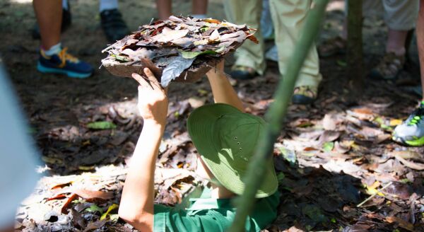 Day 8: Explore The Maze Of Cu Chi Tunnels (B) - group tour - explore-the-maze-of-cu-chi-tunnels-b-group-tour-qP3h5Flv.jpg