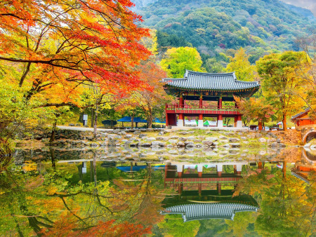 6 Days of Korean Culinary & Cultural Delights