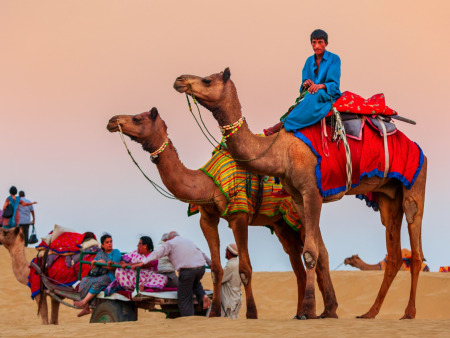 Royal Rajasthan Discovery: Palaces & Forts in 6 Days