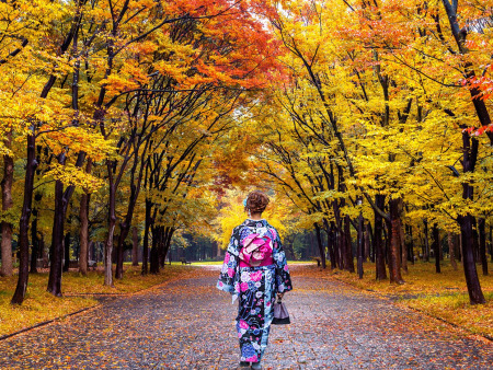 The Best of Japan on a Budget: 7-Day Cultural Journey