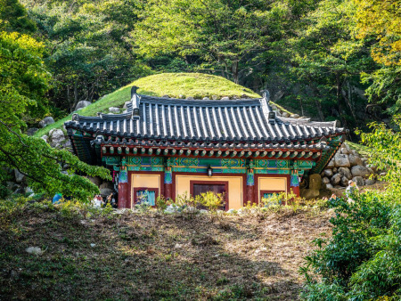 8 Days Discover Korean Stories