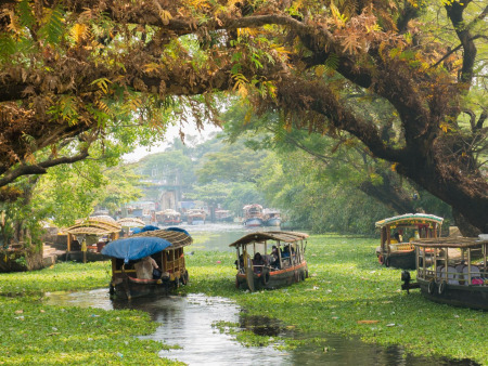 God’s Own Country: Kerala Dreams in 7 Days