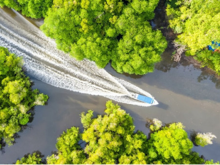 Wild Borneo: A 3-Day Wildlife Expedition to Sepilok & Gomantong