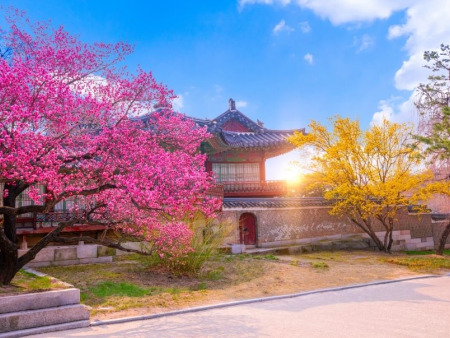 Luxury Immersion in South Korean Culture: 10 Days