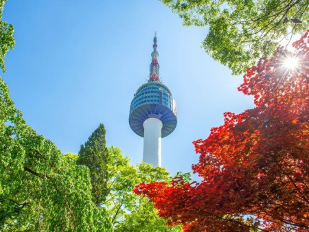Heritage Trails of South Korea: 8 Days of Discovery