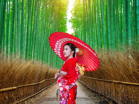 Best of Japan in 8 Days
