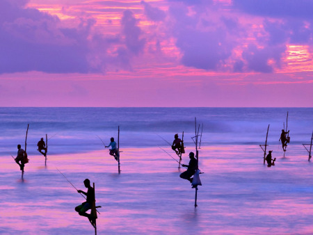 5-Day Discovery of Sri Lanka Charm