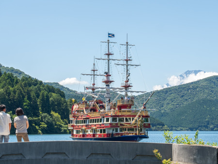 Tokyo, Mount Fuji & Hakone Pre/Post Cruise Tour in 5 Days