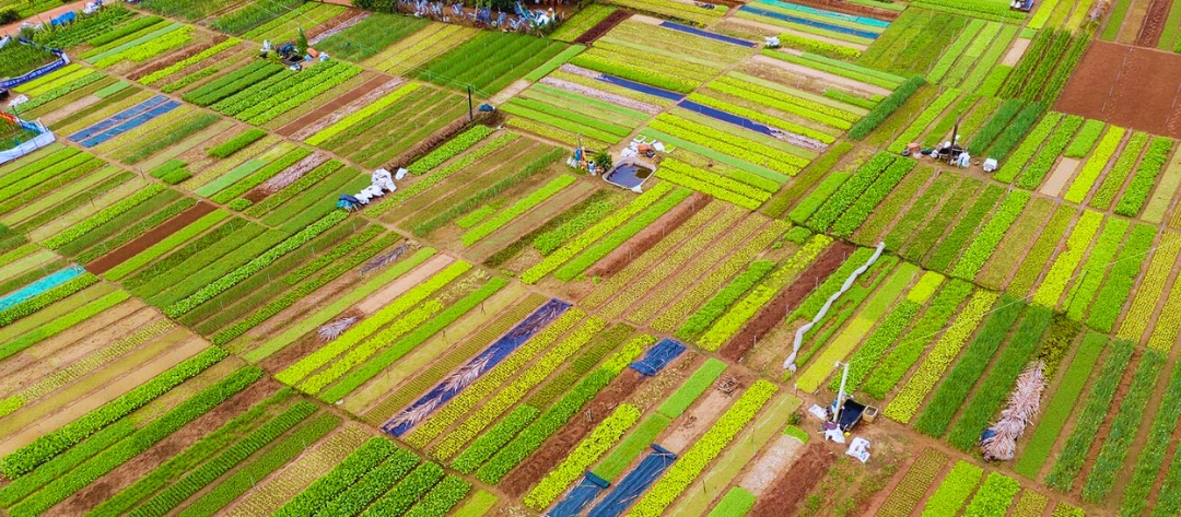 5 Vietnamese Villages Honored as the World’s Best Tourism Villages