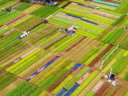 5 Vietnamese Villages Honored as the World’s Best Tourism Villages