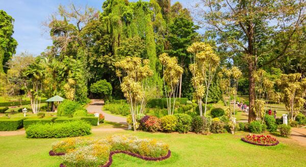 Day 5: A Garden in the Hills: Kandy – Full Day (B) - a-garden-in-the-hills-kandy-full-day-b-5ntTykQj.jpg