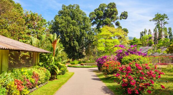 Day 5: A Garden in the Hills: Kandy – Full Day (B) - a-garden-in-the-hills-kandy-full-day-b-9HgfP2cA.jpg
