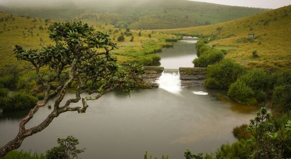 Day 7: Edge of the World: Nuwara Eliya – Horton Plains – Nuwara Eliya - edge-of-the-world-nuwara-eliya-horton-plains-nuwara-eliya-l10RgL8T.jpg