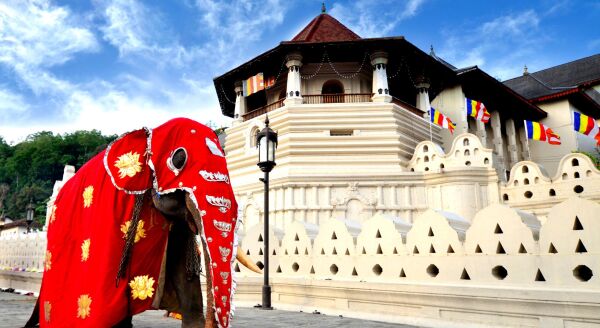 Day 4: Sacred Flames and Spices: Dambulla – Kandy (B) - sacred-flames-and-spices-dambulla-kandy-b-lYAKjLFW.jpg