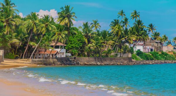 Day 7: Waves of Freedom: Beruwala (B) - waves-of-freedom-beruwala-b-AwBgXBrE.jpg