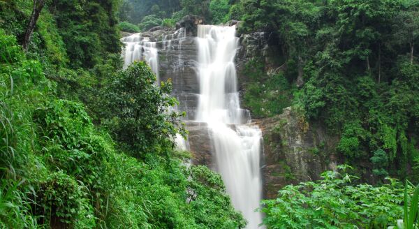 Day 3: Tea Trails & Highland Tales: Kandy - Nuwara Eliya (B-D) - tea-trails-highland-tales-kandy-nuwara-eliya-b-d-P50YsB1w.jpg