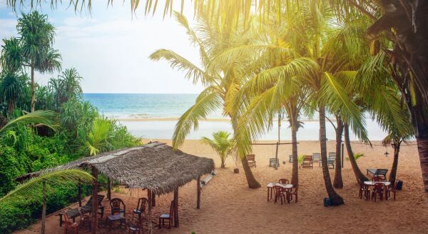 Day 6: Coastal Escape & Ocean Dreams: Tissamaharama - Bentota (B) - coastal-escape-ocean-dreams-tissamaharama-bentota-b-gQZE6rbI.jpg