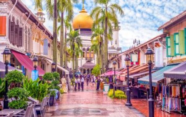 Day 3: Little India and Malay Historic Quarters - little-india-and-malay-historic-quarters-sNZhJ6Sh.jpg