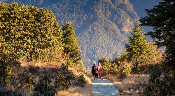Day 7: Hike up to Punhill for sunrise, Hike back. After breakfast, Trek to Tadapani - hike-up-to-punhill-for-sunrise-hike-back-after-breakfast-trek-to-tadapani-aXY3XCIC.jpg
