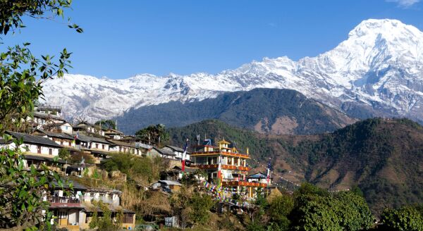 Day 8: Trek from Tadapani to Ghandruk - trek-from-tadapani-to-ghandruk-OTQXJ9db.jpg