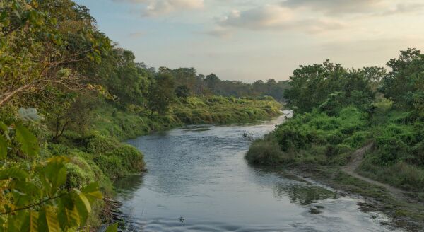 Day 12: Activities in Chitwan national Park - activities-in-chitwan-national-park-cJDIDHlp.jpg