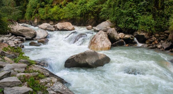 Day 12: Trek to Jhinu Danda (1780 m) and drive to Pokhara (820 m)  (B) - trek-to-jhinu-danda-1780-m-and-drive-to-pokhara-820-m-b-KhEqWUZZ.jpg