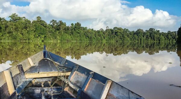 Day 4: CRUISE TO KINABATANGAN RIVER - BILLIT VILLAGE VISIT - cruise-to-kinabatangan-river-billit-village-visit-NgZIBF83.jpg