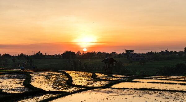 Day 8: UBUD – CANGGU (B) - ubud-canggu-b-D621KJ30.jpg