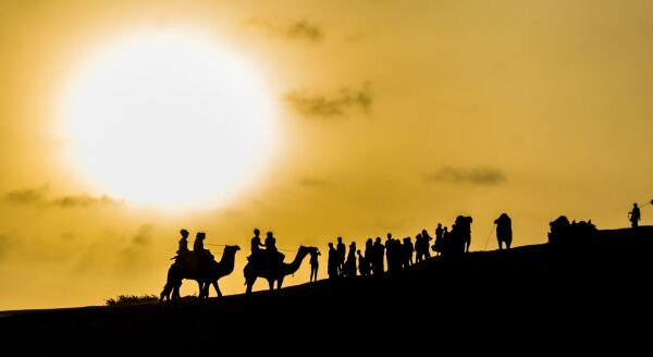 Day 5: Jaisalmer Sightseeing & Desert Experience - jaisalmer-sightseeing-desert-experience-nbc11xYK.jpg