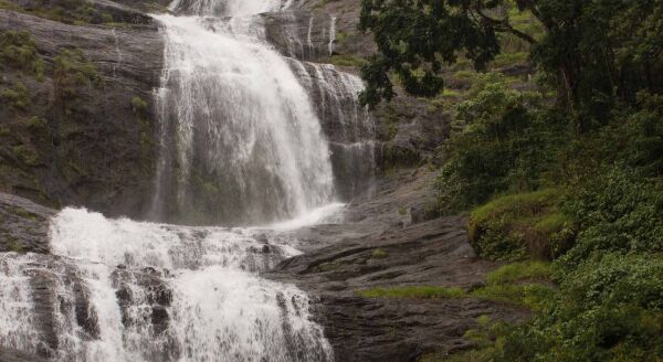 Day 2: Cochin-Munnar - cochin-munnar-ch7Zk6g4.jpg