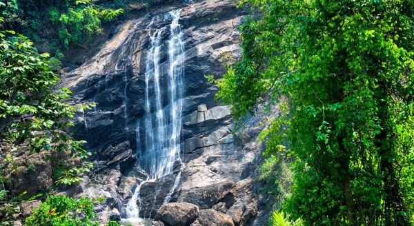 Day 2: Cochin-Munnar - cochin-munnar-FokUmSfp.jpg