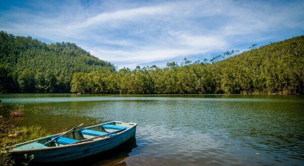 Day 3: Munnar Sightseeing - munnar-sightseeing-mao75gpC.jpg