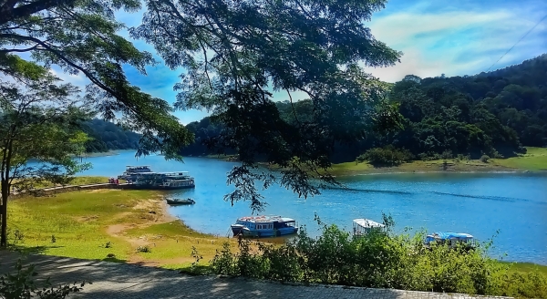 Day 4: Munnar – Thekkady - munnar-thekkady-SjwVodbF.jpg