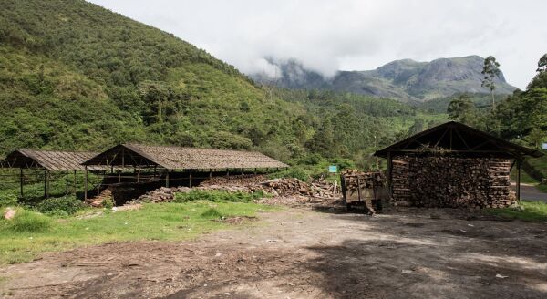 Day 11: Madurai – Munnar - madurai-munnar-o4l12vRb.jpg