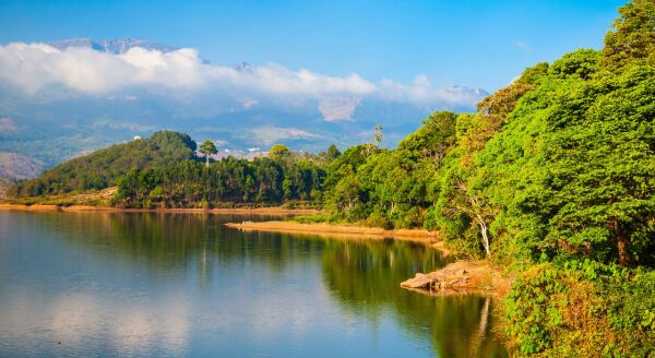 Day 12: Munnar Sightseeing - munnar-sightseeing-vzcRsASH.jpg