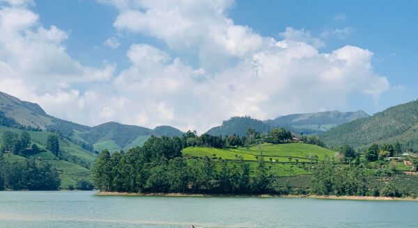 Day 12: Munnar Sightseeing - munnar-sightseeing-NbI8toXh.jpg