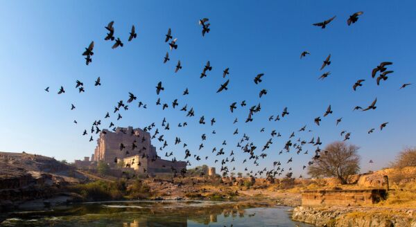 Day 3: Drive to Jodhpur – Through the Desert Highway - drive-to-jodhpur-through-the-desert-highway-N0IX9TGJ.jpg