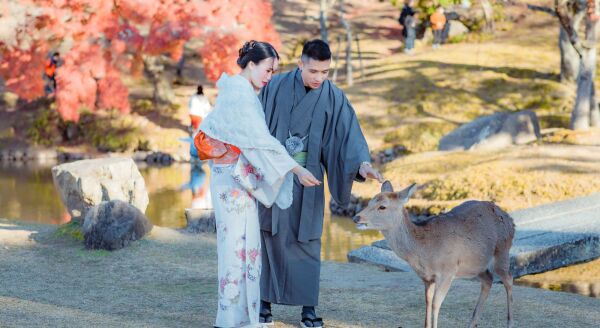 Day 12: Kyoto & Nara - kyoto-nara-4NyqHNz5.jpg