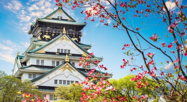 Day 19: Culture and History in Osaka - culture-and-history-in-osaka-bCdRdB63.jpg