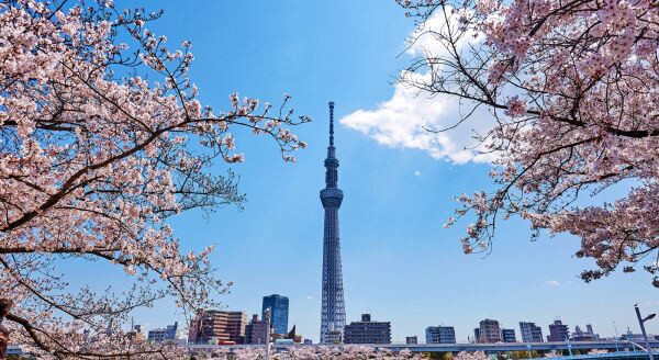 Day 1: Arrival in Tokyo - arrival-in-tokyo-ISMSKN2e.jpg