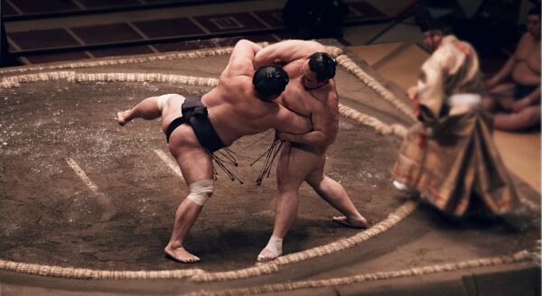 Day 3: Sumo Culture Experience - sumo-culture-experience-kcP9RmgE.jpg