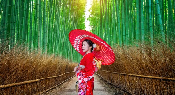 Day 16: Kyoto & Nara Highlights - kyoto-nara-highlights-BhunADAx.jpg